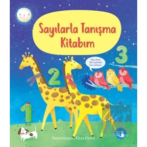 Sayılarla Tanışma Kitabım