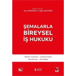 Şemalarla Bireysel İş Hukuku