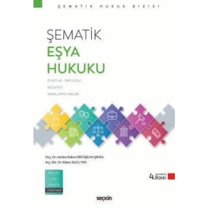 Şematik Eşya Hukuku