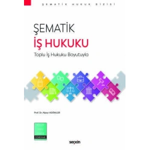 Şematik İş Hukuku Toplu İş Hukuku Boyutuyla