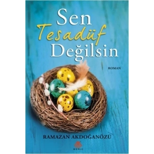 Sen Tesadüf Değilsin