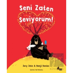 Seni Zaten Seviyorum