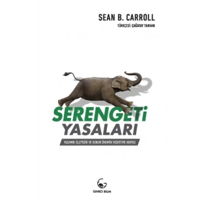 Serengeti Yasaları: Yaşamın İşleyişi ve Bunun Önemini Keşfetme Arayışı