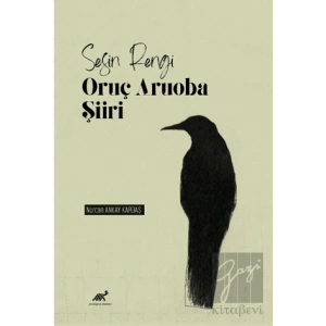 Sesin Rengi: Oruç Aruoba Şiiri