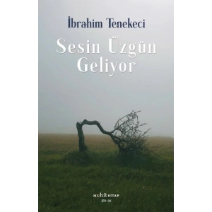 Sesin Üzgün Geliyor