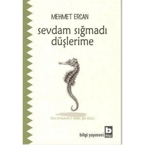 Sevdam Sığmadı Düşlerime