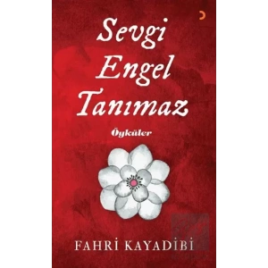 Sevgi Engel Tanımaz