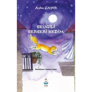 Sevgili Serseri Kedim