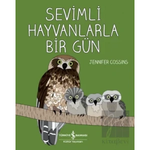 Sevimli Hayvanlarla Bir Gün