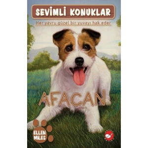 Sevimli Konuklar-4 Afacan