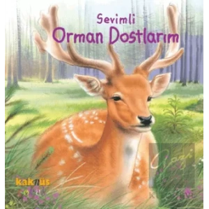 Sevimli Orman Dostlarım