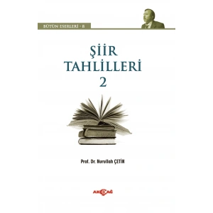 Şiir Tahlilleri 2