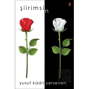 Şiirimsin