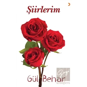 Şiirlerim