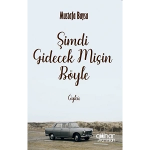 Şimdi Gidecek Misin Böyle