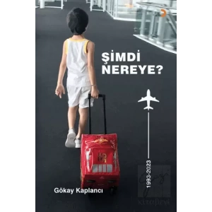 Şimdi Nereye