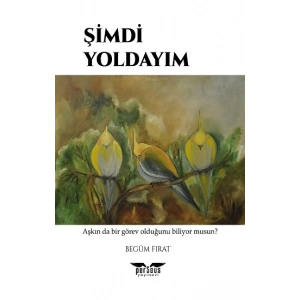 Şimdi Yoldayım