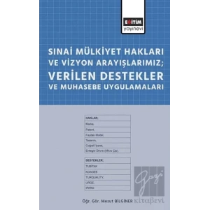 Sınai Mülkiyet Hakları ve Vizyon Arayışlarımız; Verilen Destekler ve Muhasebe Uygulamaları