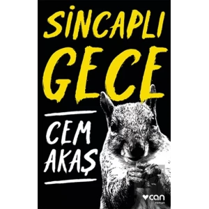 Sincaplı Gece