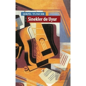 Sinekler de Uyur