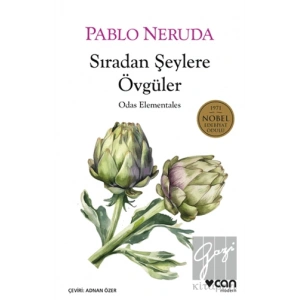 Sıradan Şeylere Övgüler