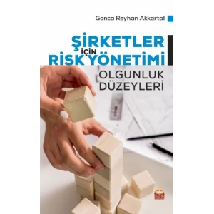 Şirketler İçin Risk Yönetimi Olgunluk Düzeyleri