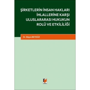 Şirketlerin İnsan Hakları İhlallerine Karşı Uluslararası Hukukun Rolü ve Etkililiği