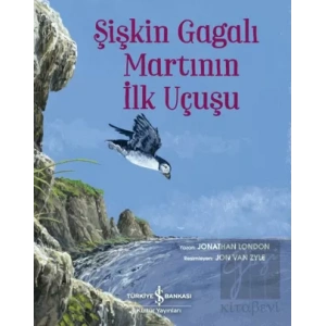 Şişkin Gagalı Martının İlk Uçuşu