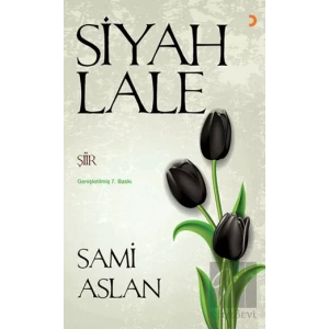 Siyah Lale