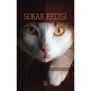 Sokak Kedisi