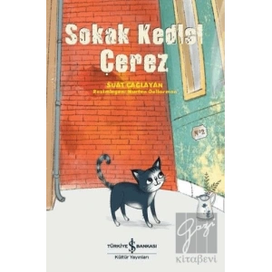 Sokak Kedisi Çerez