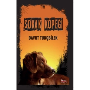 Sokak Köpeği