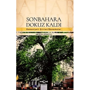 Sonbahara Dokuz Kaldı