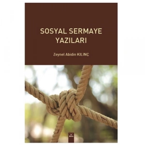 Sosyal sermaye yazıları