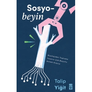 Sosyobeyin