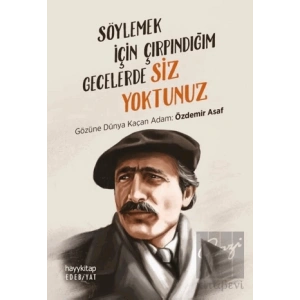 Söylemek İçin Çırpındığım Gecelerde Siz Yoktunuz