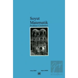 Soyut Matematik Problem Çözümleri
