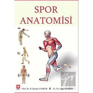 Spor Anatomisi