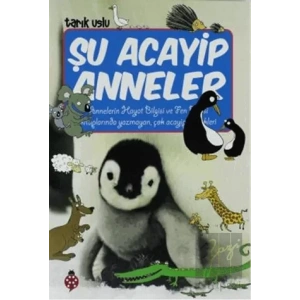 Şu Acayip Anneler