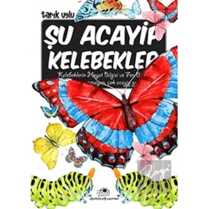 Şu Acayip Kelebekler