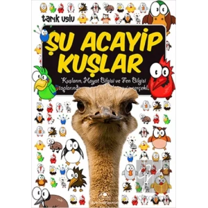 Şu Acayip Kuşlar