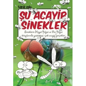 Şu Acayip Sinekler