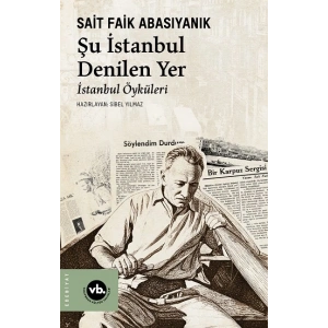 Şu İstanbul Denilen Yer