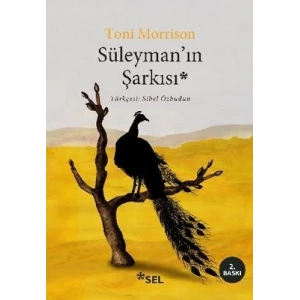Süleymanın Şarkısı