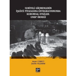 Suriyeli Göçmenlerin İşgücü Piyasasına Entegrasyonunda Kurumsal Etkiler: UNDP Örneği
