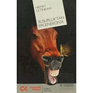 Susurluk’tan Ergenekon’a