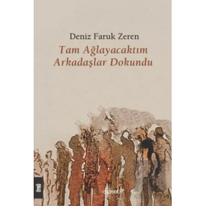 Tam Ağlayacaktım Arkadaşlar Dokundu
