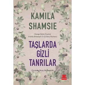 Taşlarda Gizli Tanrılar