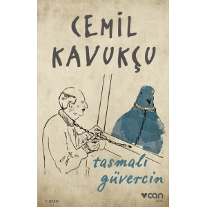 Tasmalı Güvercin