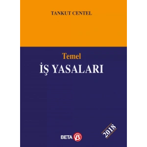 Temel İş Yasaları